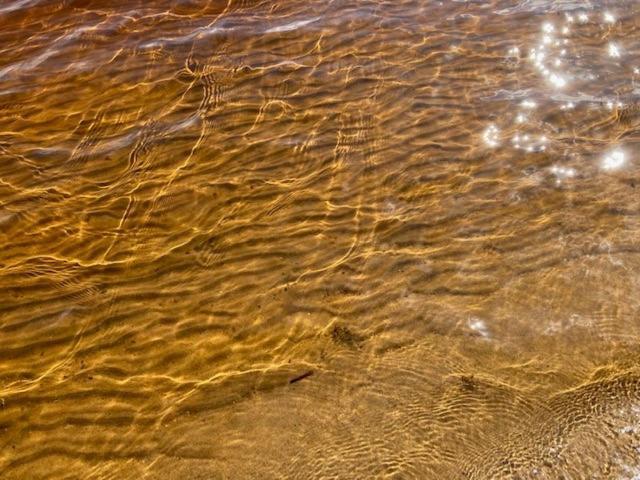 Lomahuvila Kultahiekka Holiday Villa Golden Sand Kivilahti エクステリア 写真